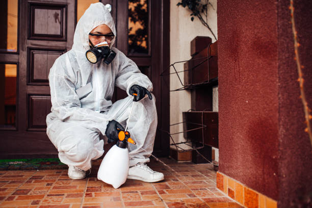 Attic and Crawl Space Rodent Treatment in Edwards AFB