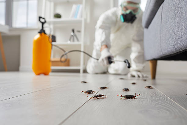 Commercial Rodent Management in Edwards AFB